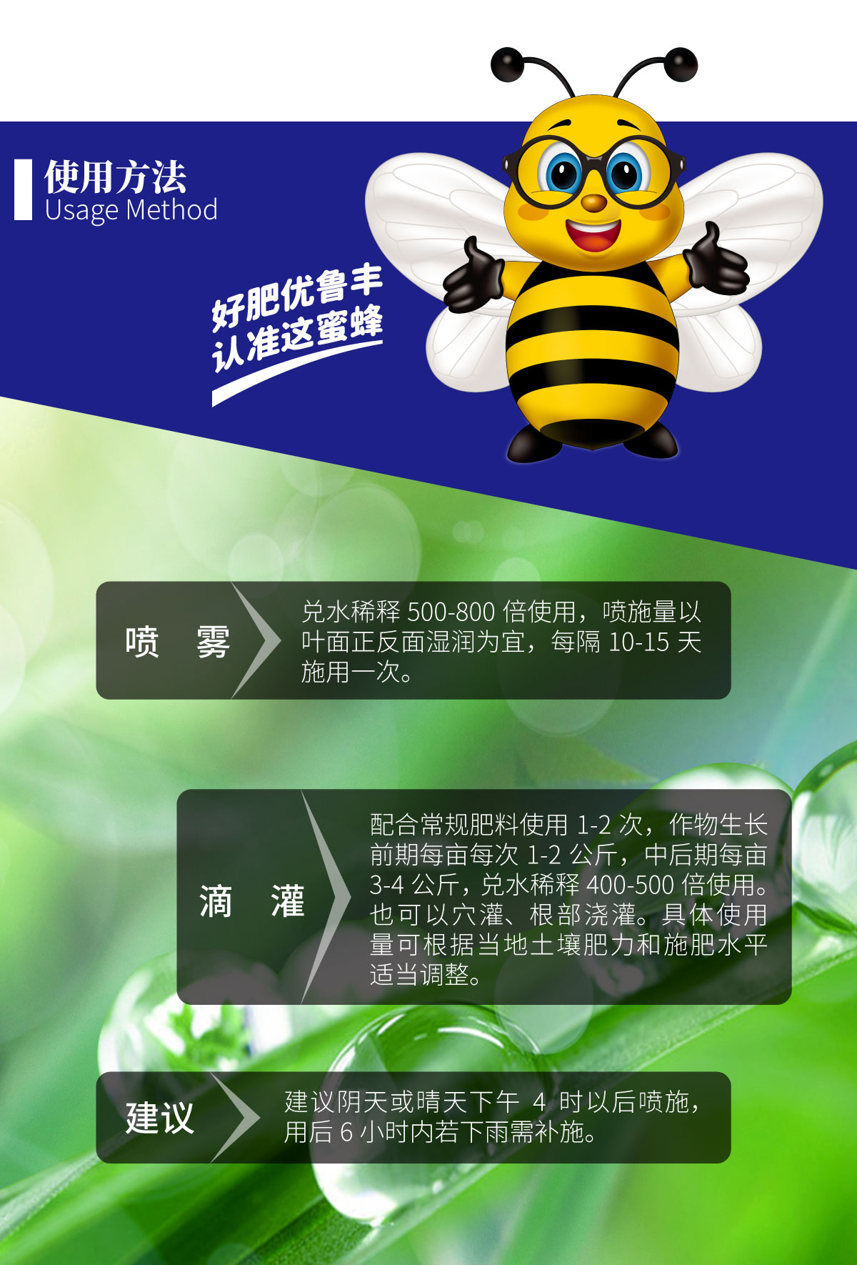 详情页-海藻鱼蛋白_03.jpg