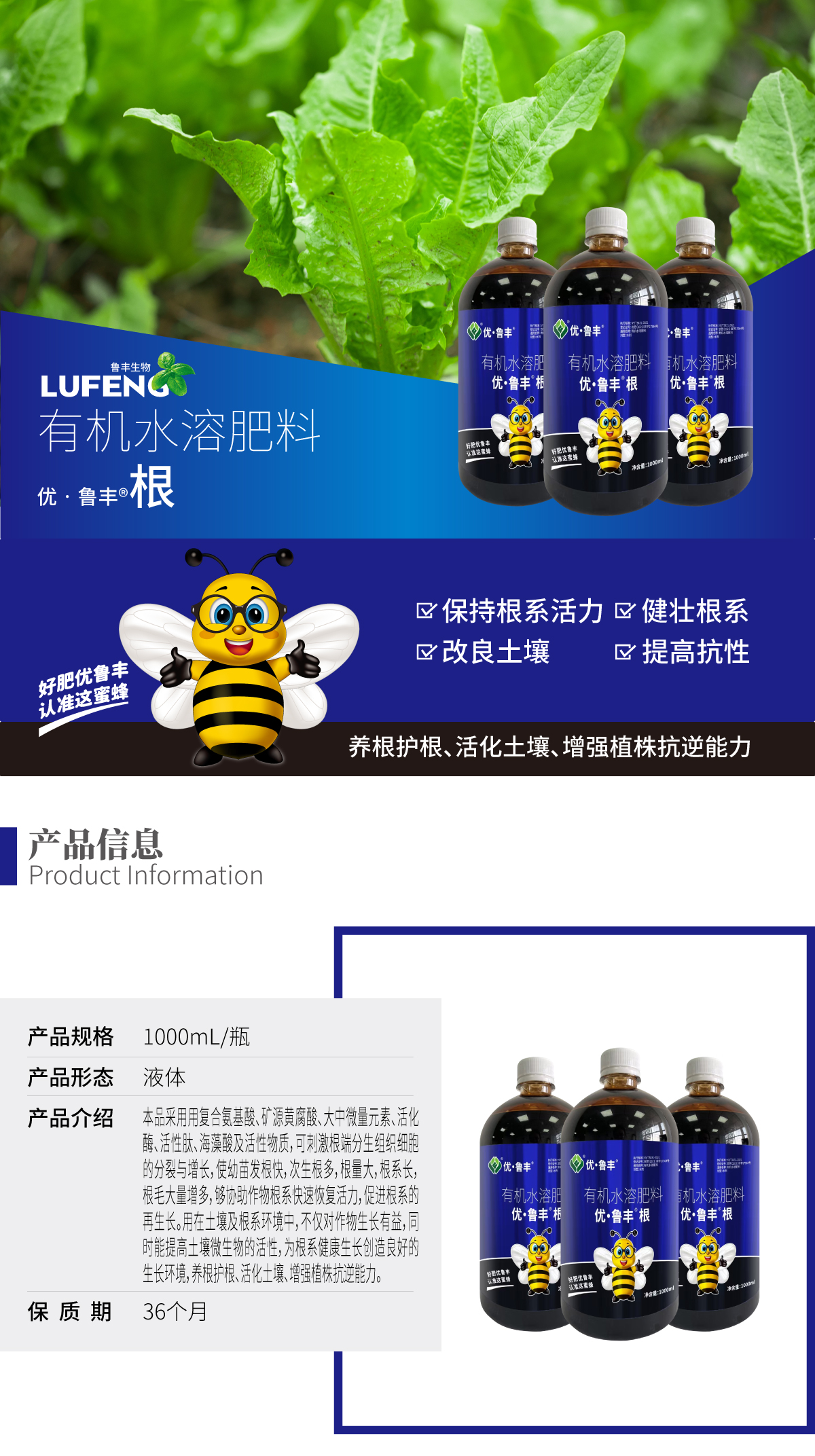 详情页-优•鲁丰®️根_01.jpg