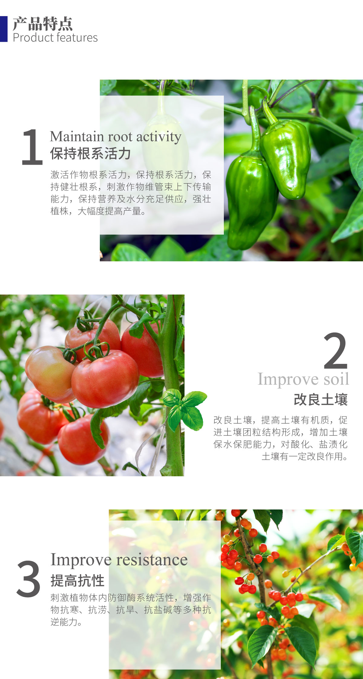 详情页-优•鲁丰®️根_02.jpg