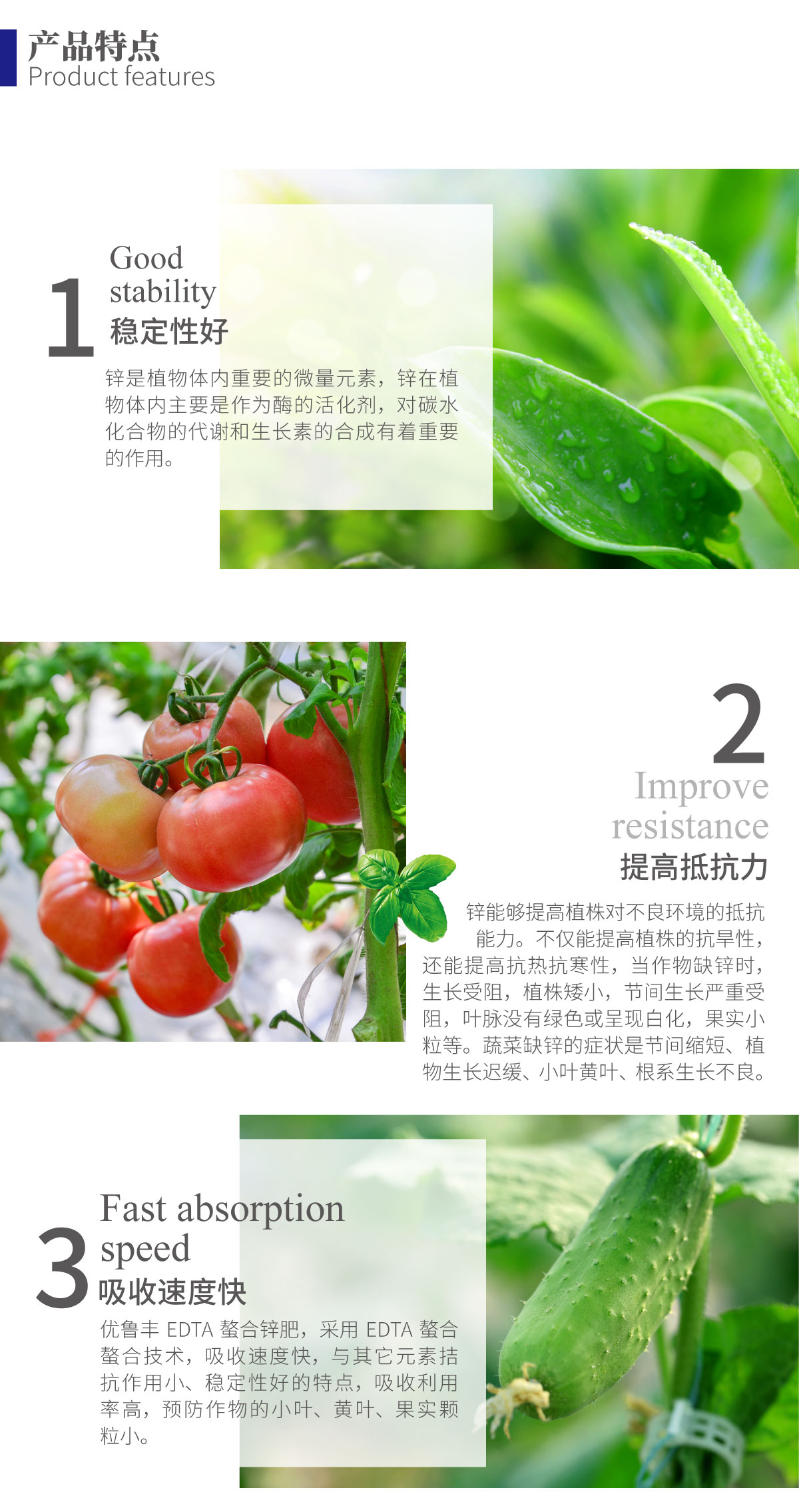 详情页-优•鲁丰®️EDTA螯合锌肥_02.jpg