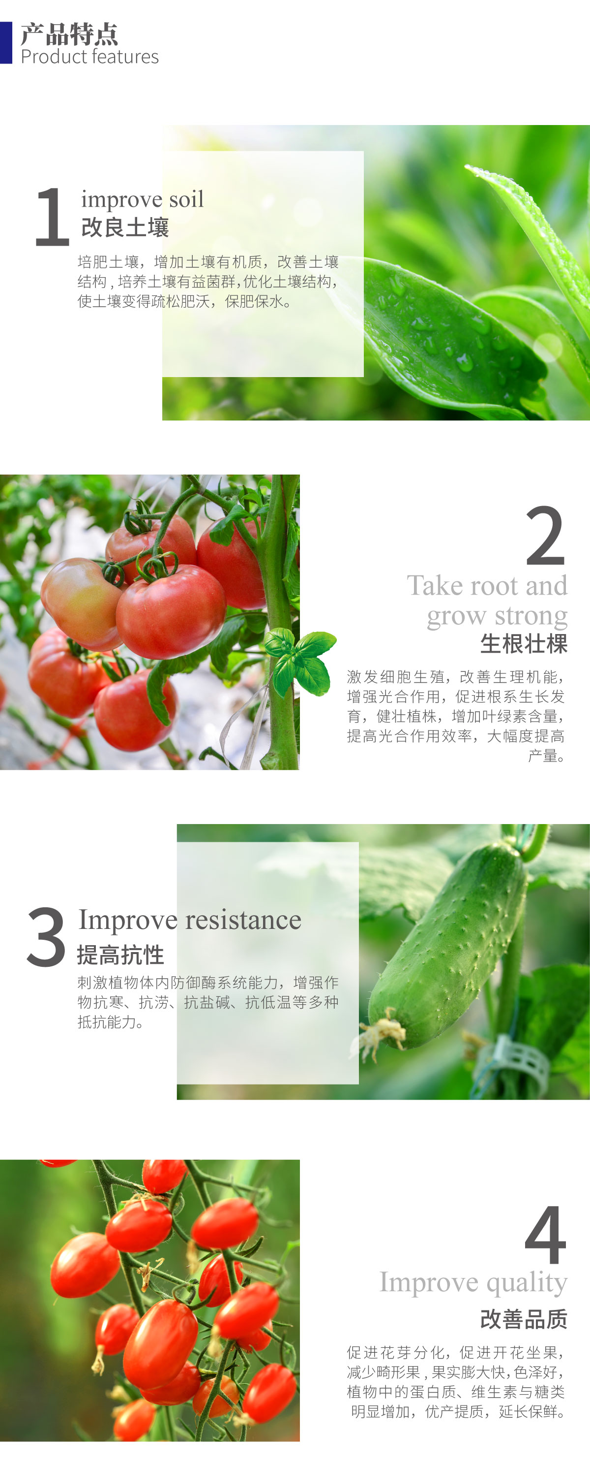 详情页-鱼蛋白浓缩粉_02.jpg
