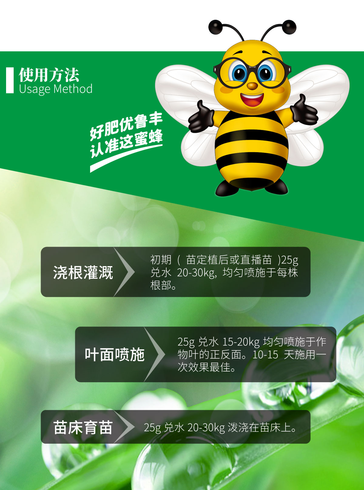 详情页-绿叶壮_03.jpg