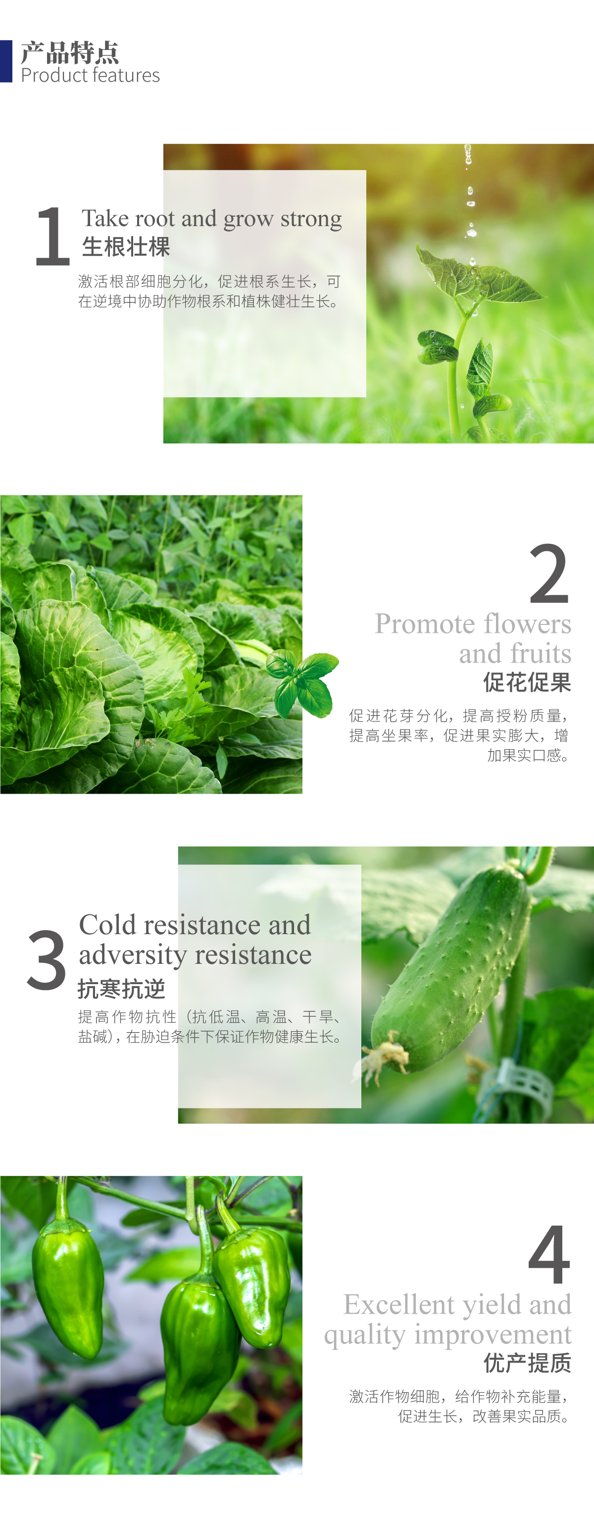 详情页-鲁乐丰·鱼蛋白_02.jpg