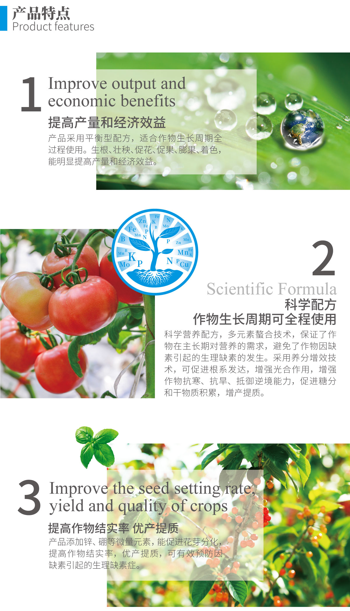 详情页-大量元素水溶肥（平衡型）_02.jpg