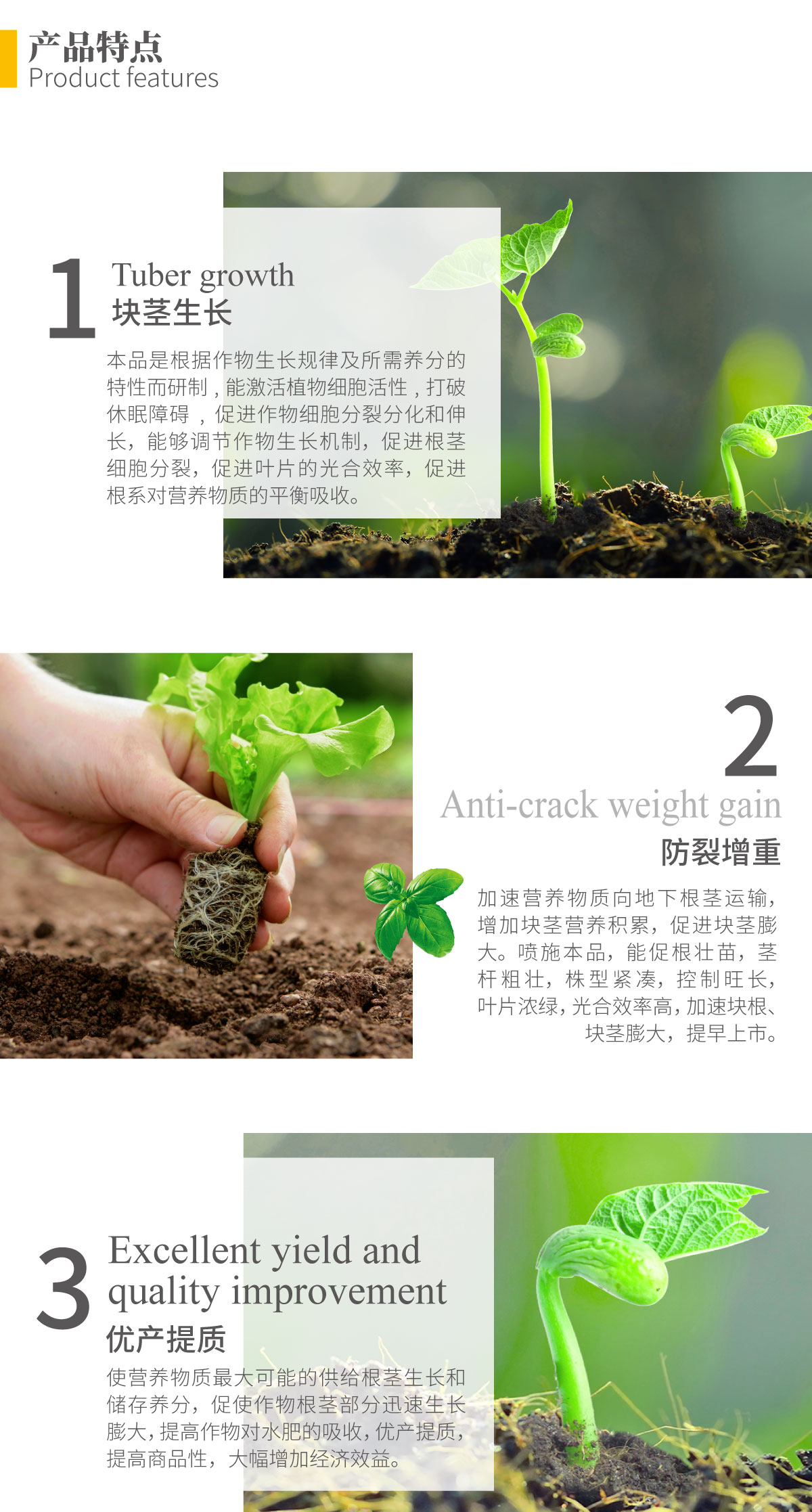 详情页-根茎膨大素_02.jpg