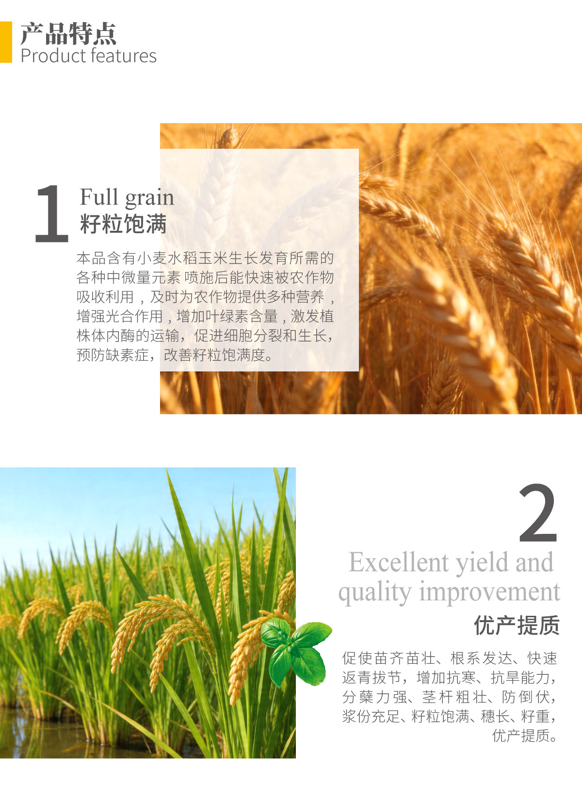 详情页-小麦水稻玉米粒粒饱_02.jpg