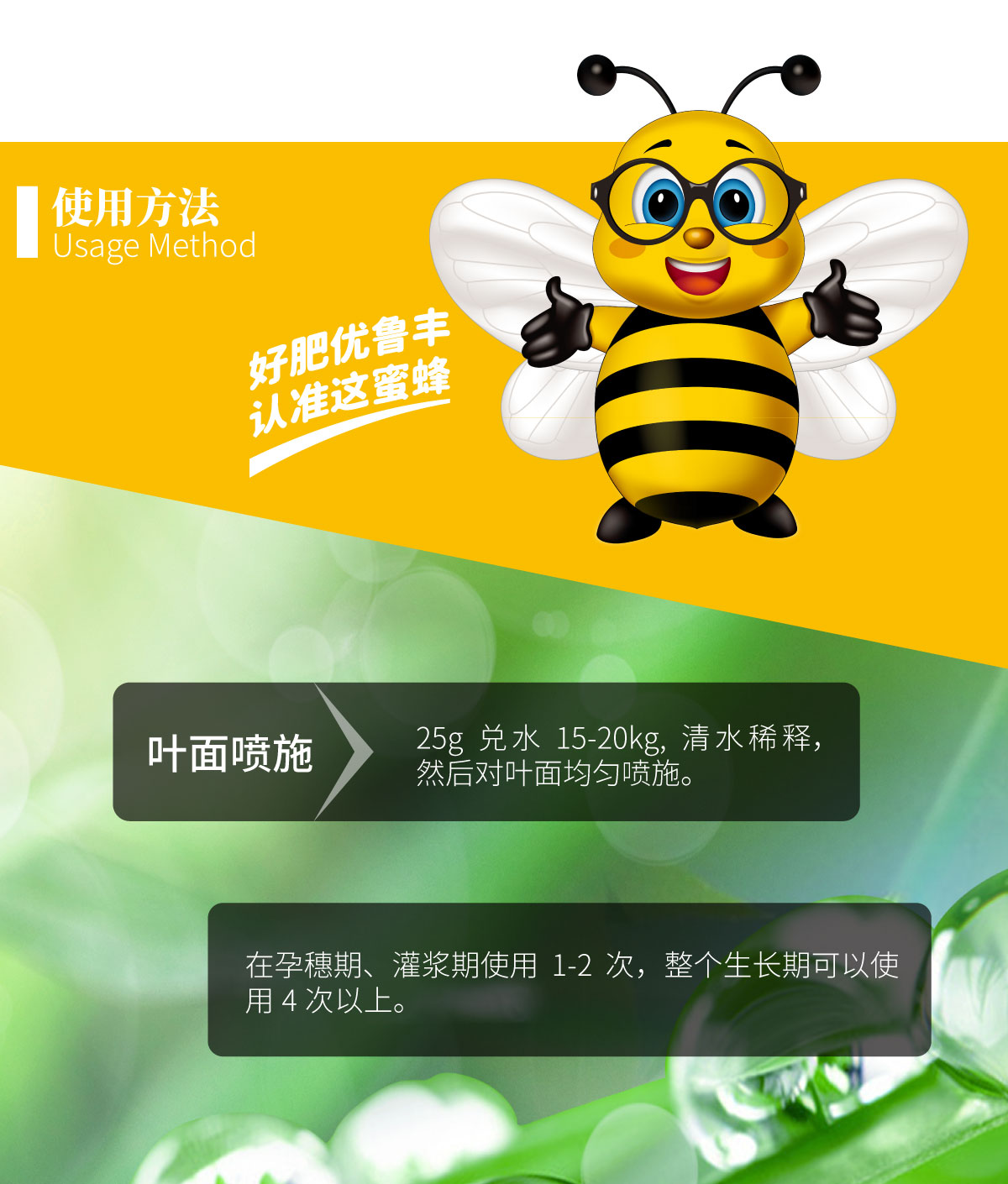详情页-小麦水稻玉米粒粒饱_03.jpg