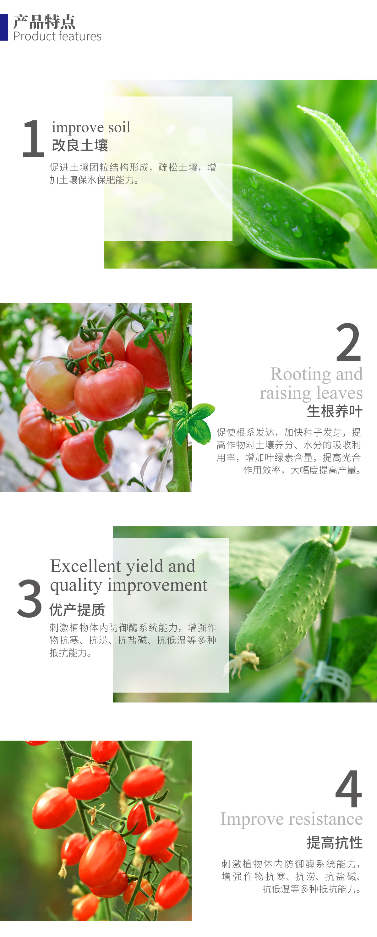 详情页-优•鲁丰®️绿藻精_02.jpg