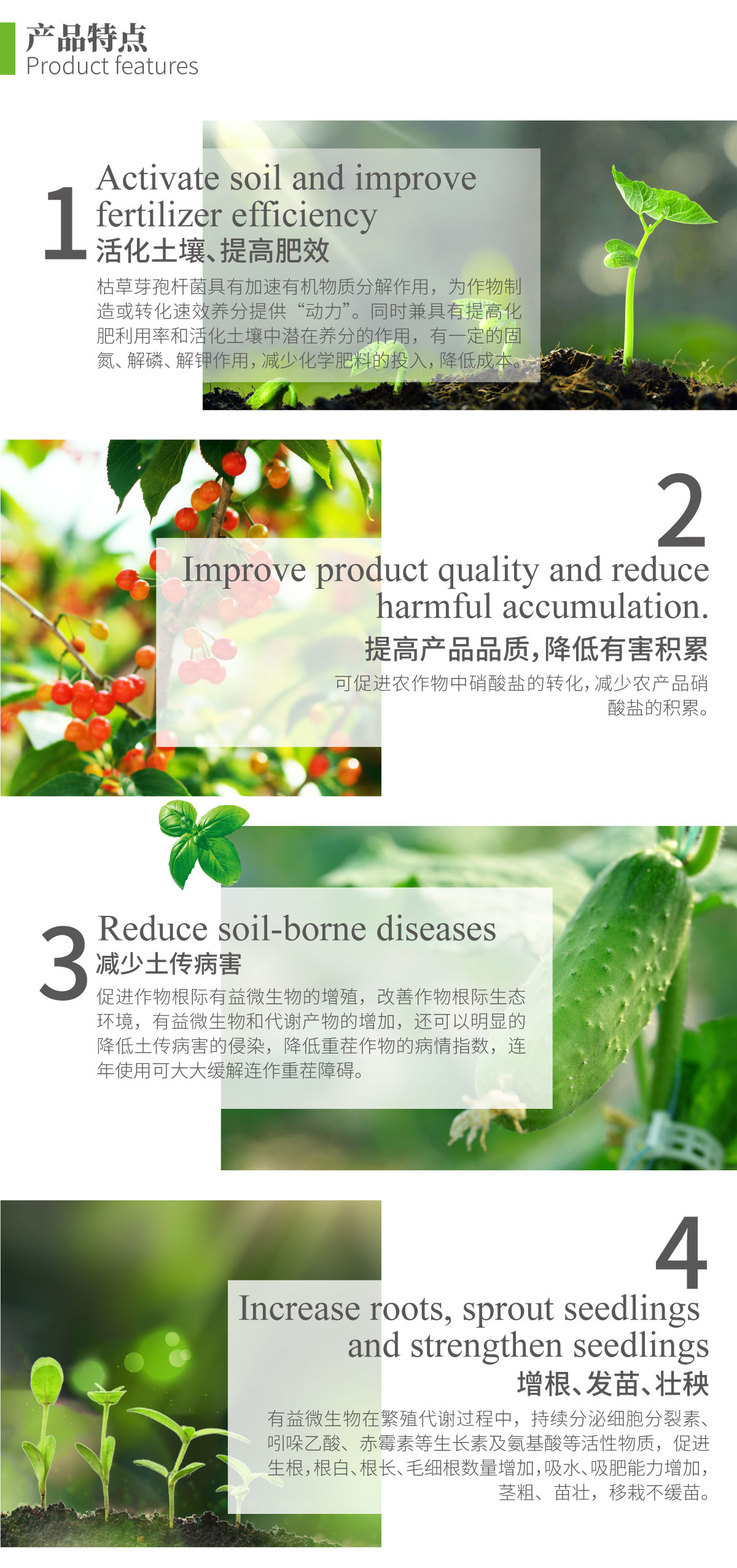 详情页-枯草芽孢杆菌_02.jpg