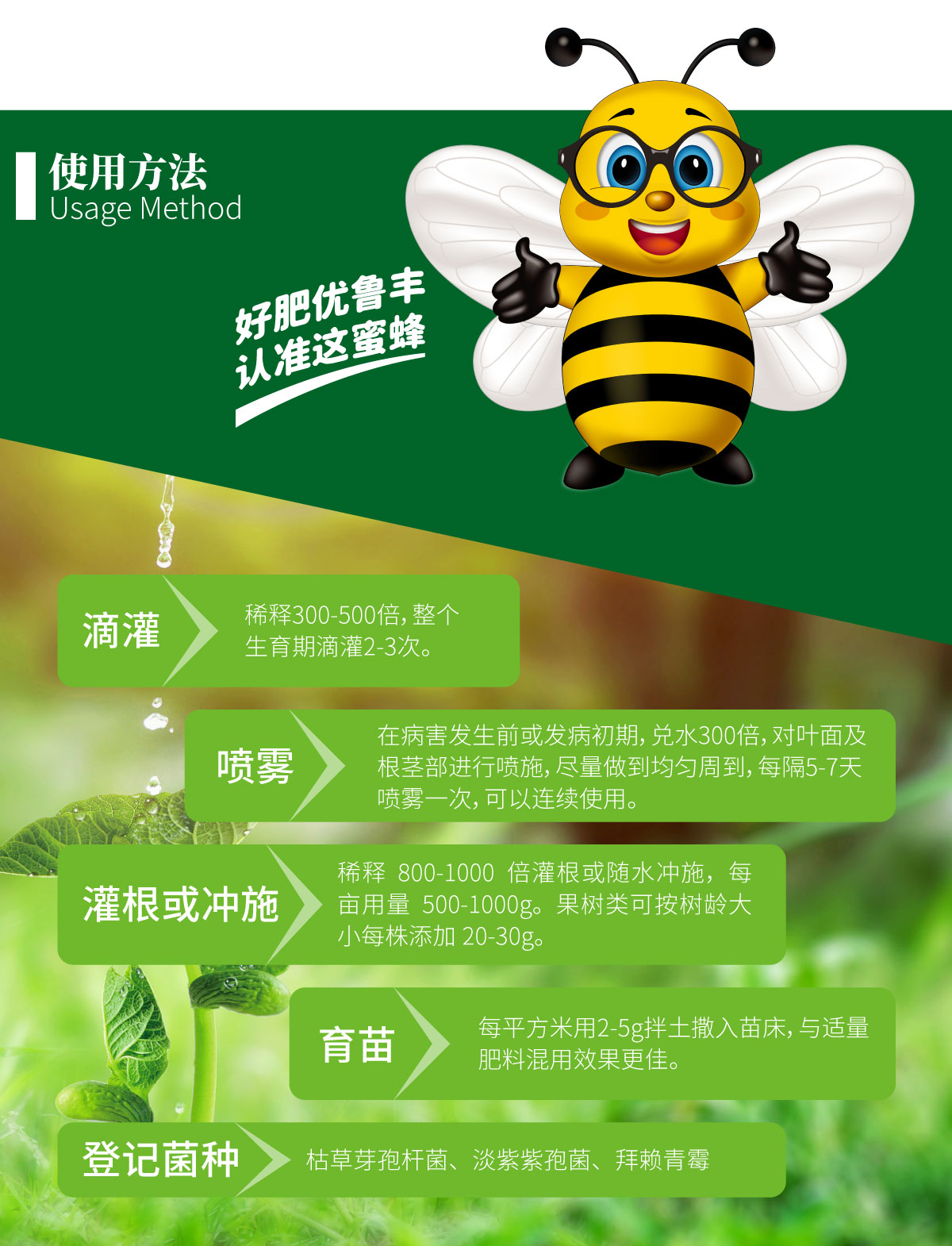 详情页-枯草芽孢杆菌_03.jpg