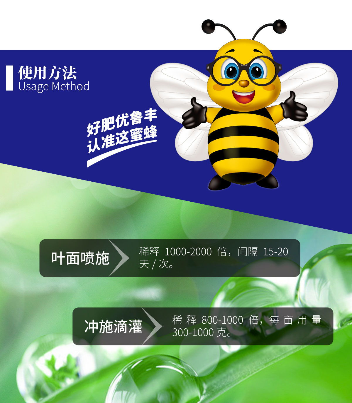 详情页-优•鲁丰®️绿藻精_03.jpg