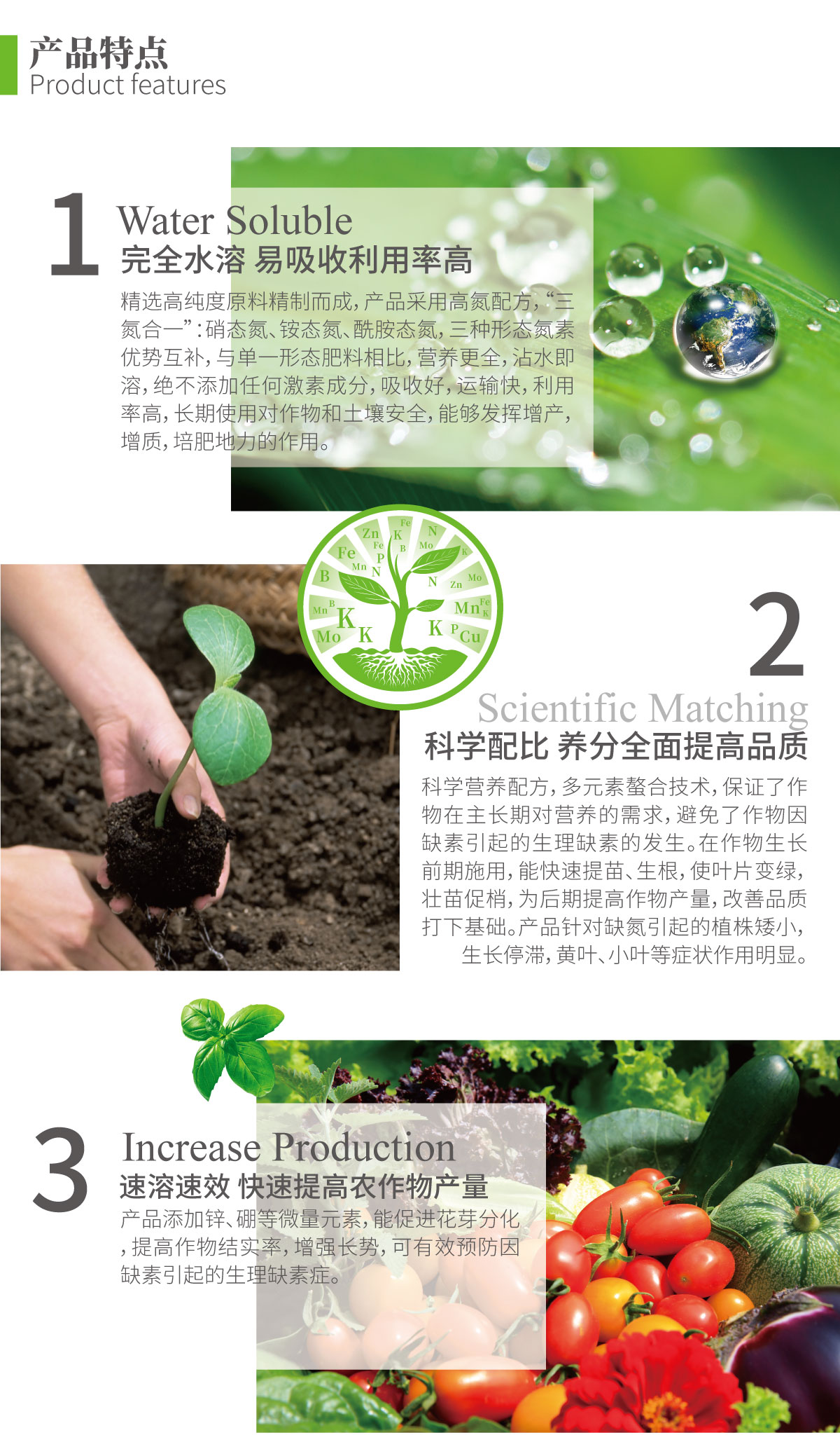 详情页-大量元素水溶肥（高氮型）_02.jpg