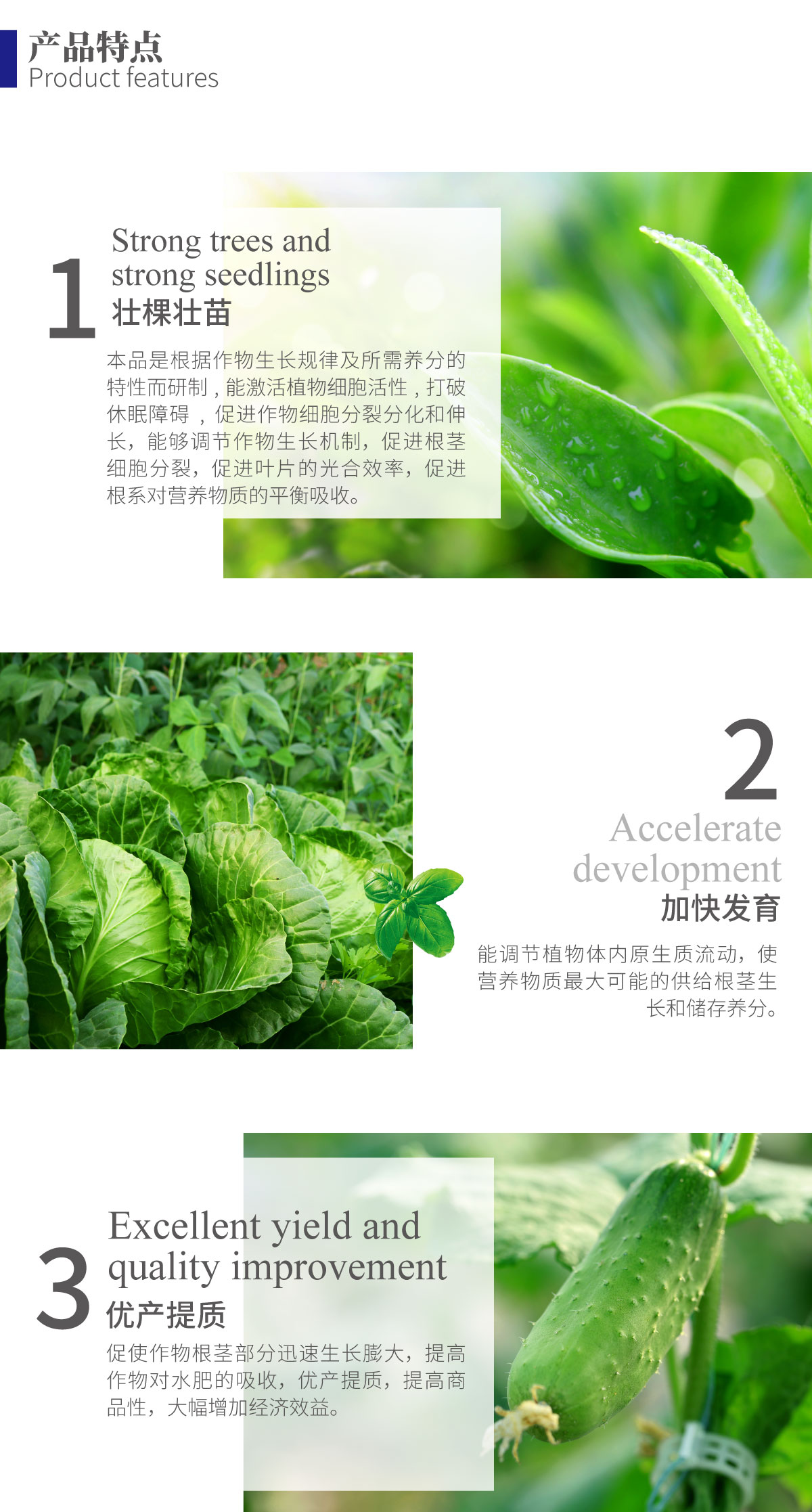 详情页-葱姜蒜先锋_02.jpg