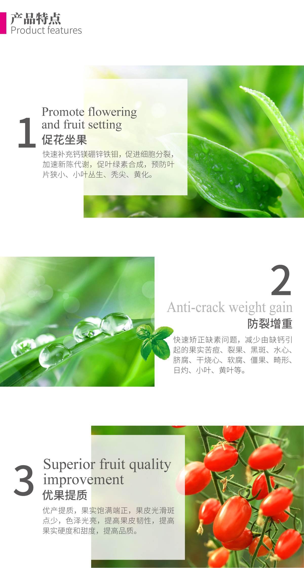 详情页-钙镁硼锌铁钼_02.jpg