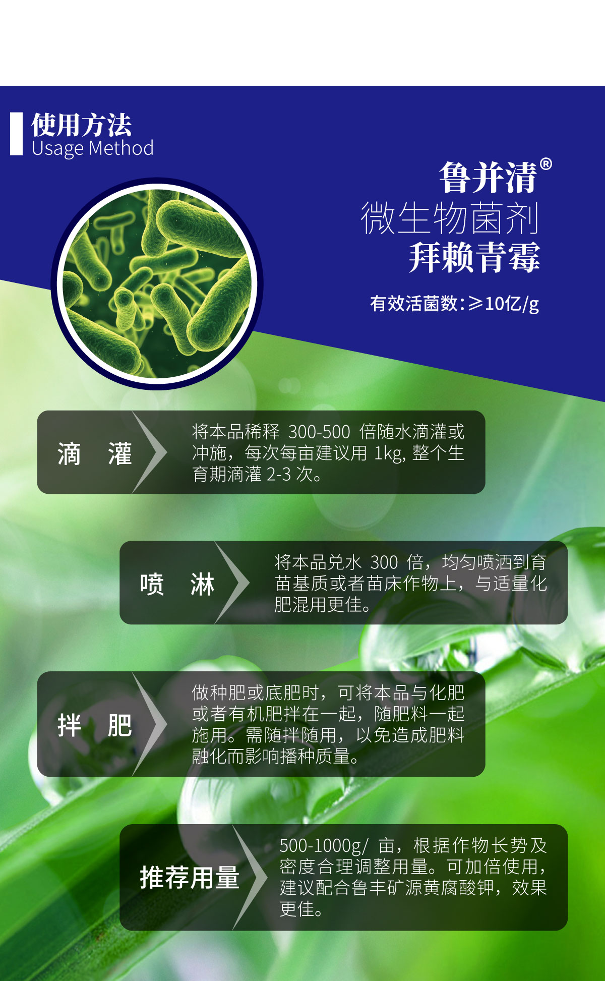 详情页-拜赖青霉_03.jpg