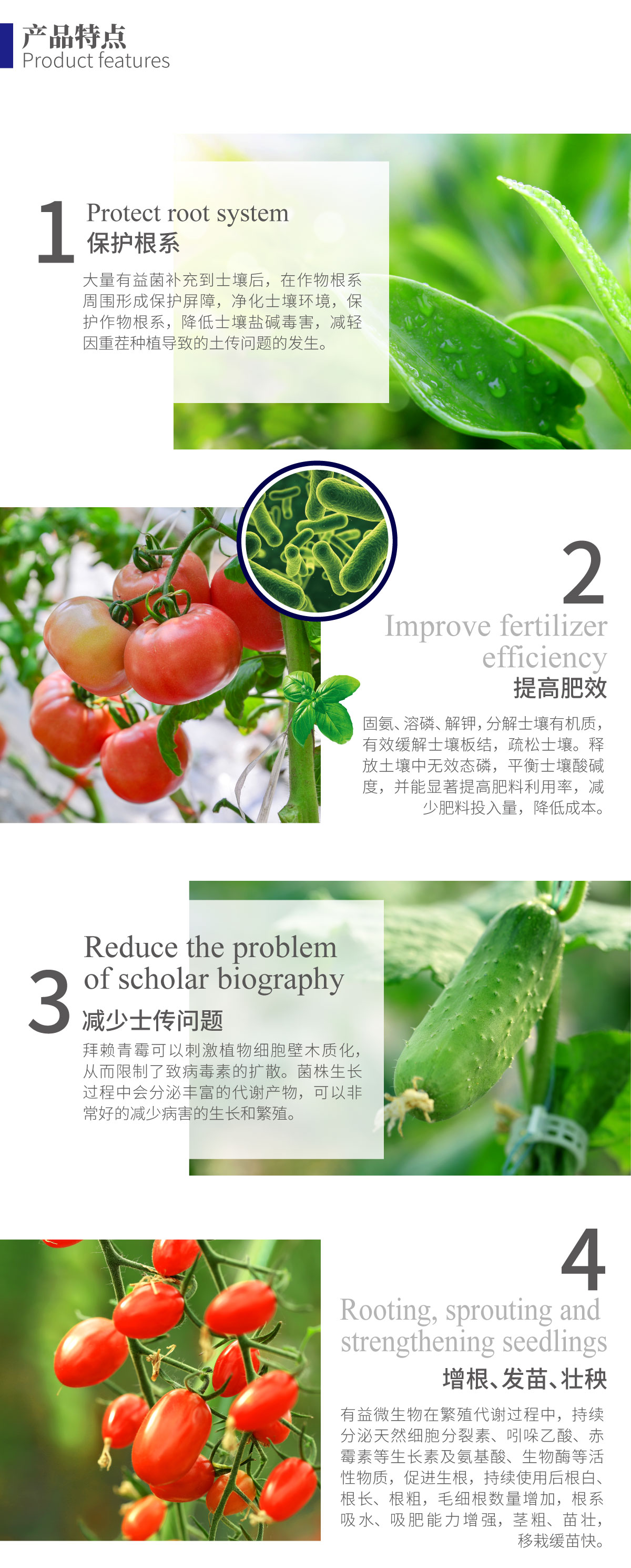 详情页-拜赖青霉_02.jpg