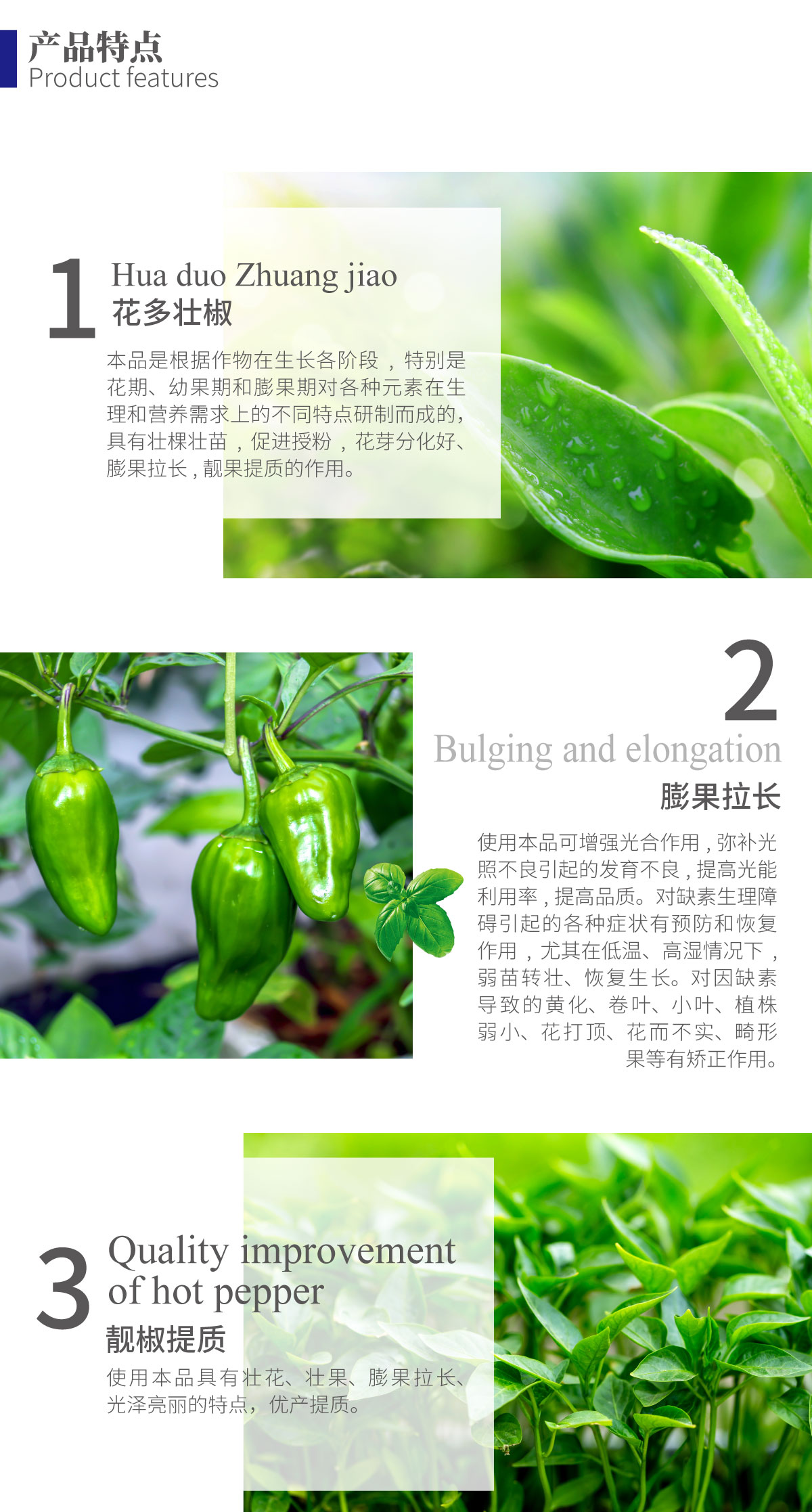详情页-辣椒三不落_02.jpg