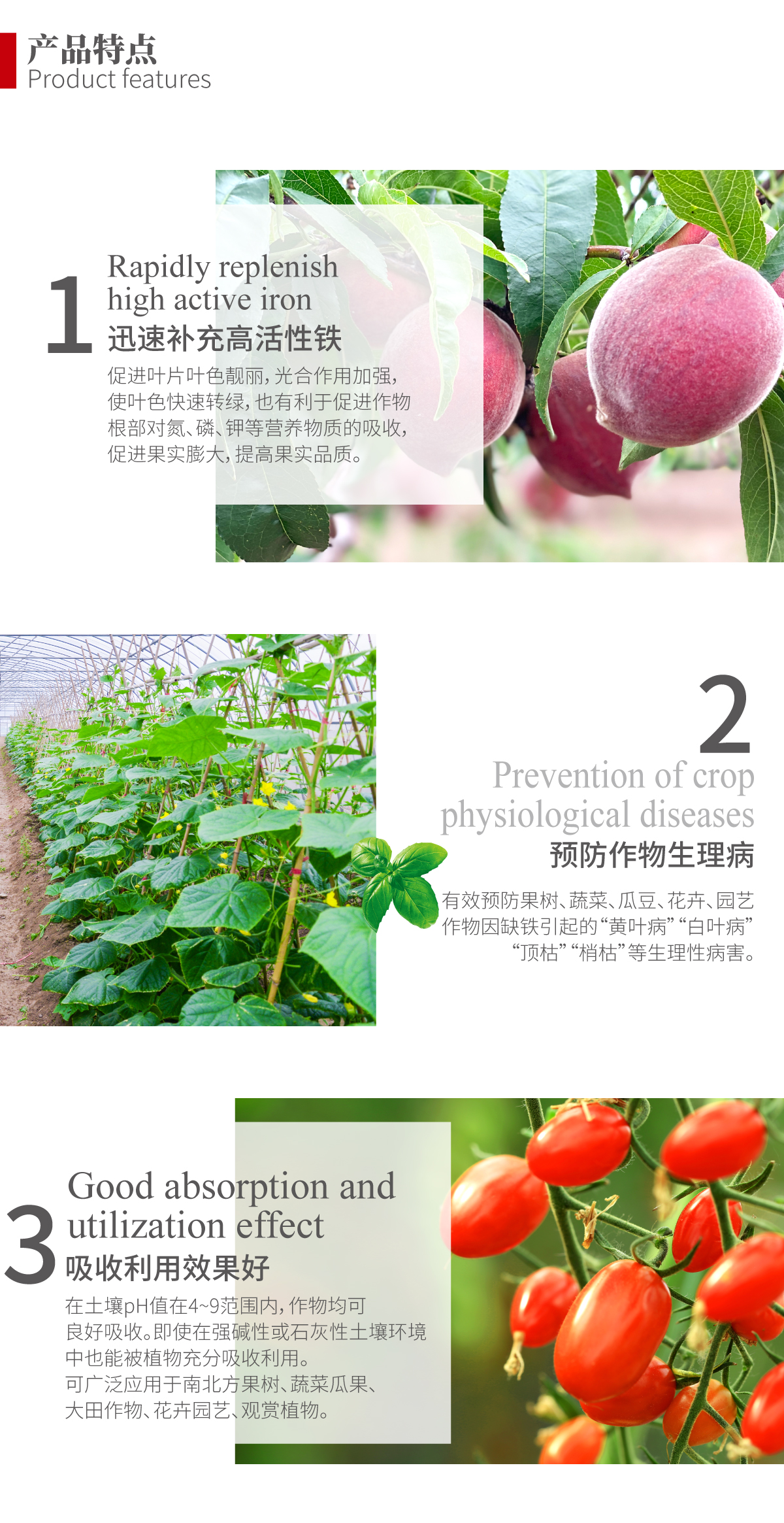 鲁丰生物网站-产品详情页-EDTA铁_02.jpg