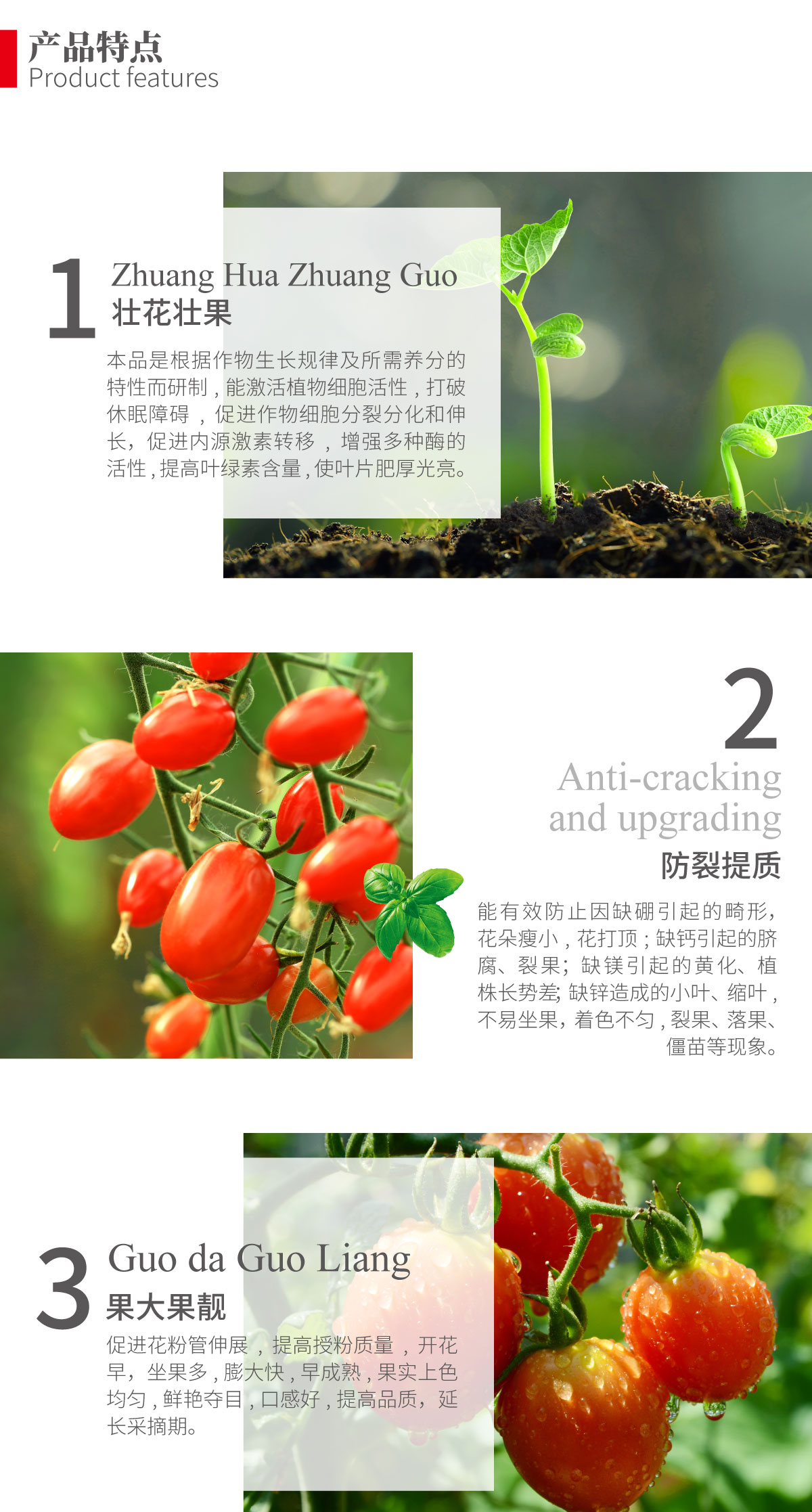 详情页-番茄防裂增红素_02.jpg