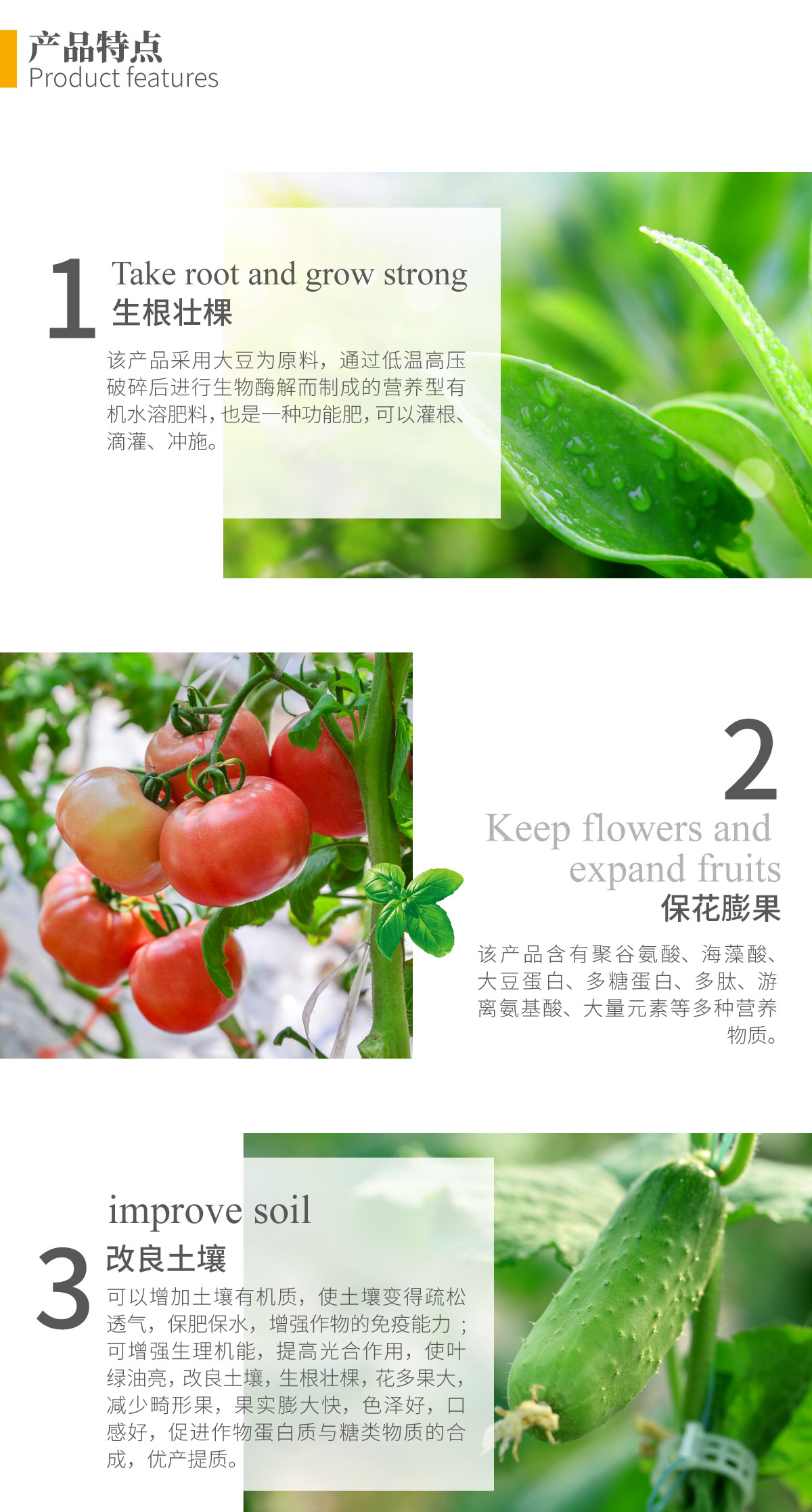 详情页-大豆多肽蛋白_02.jpg