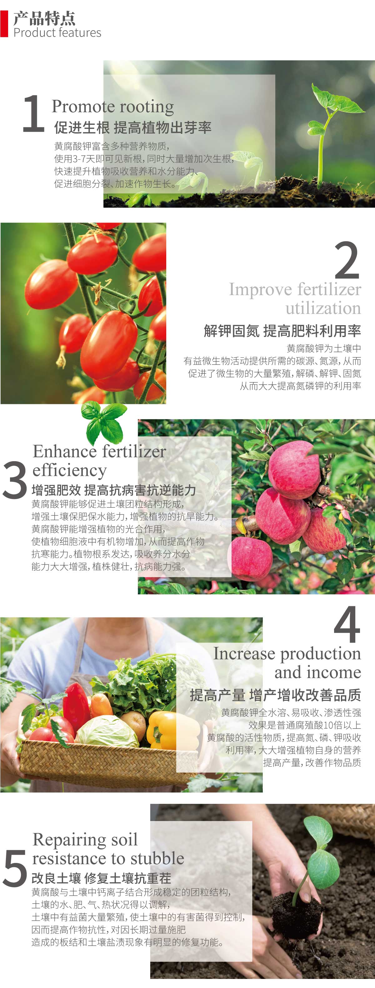 鲁丰生物网站-产品详情页-矿源黄腐酸钾_02.jpg