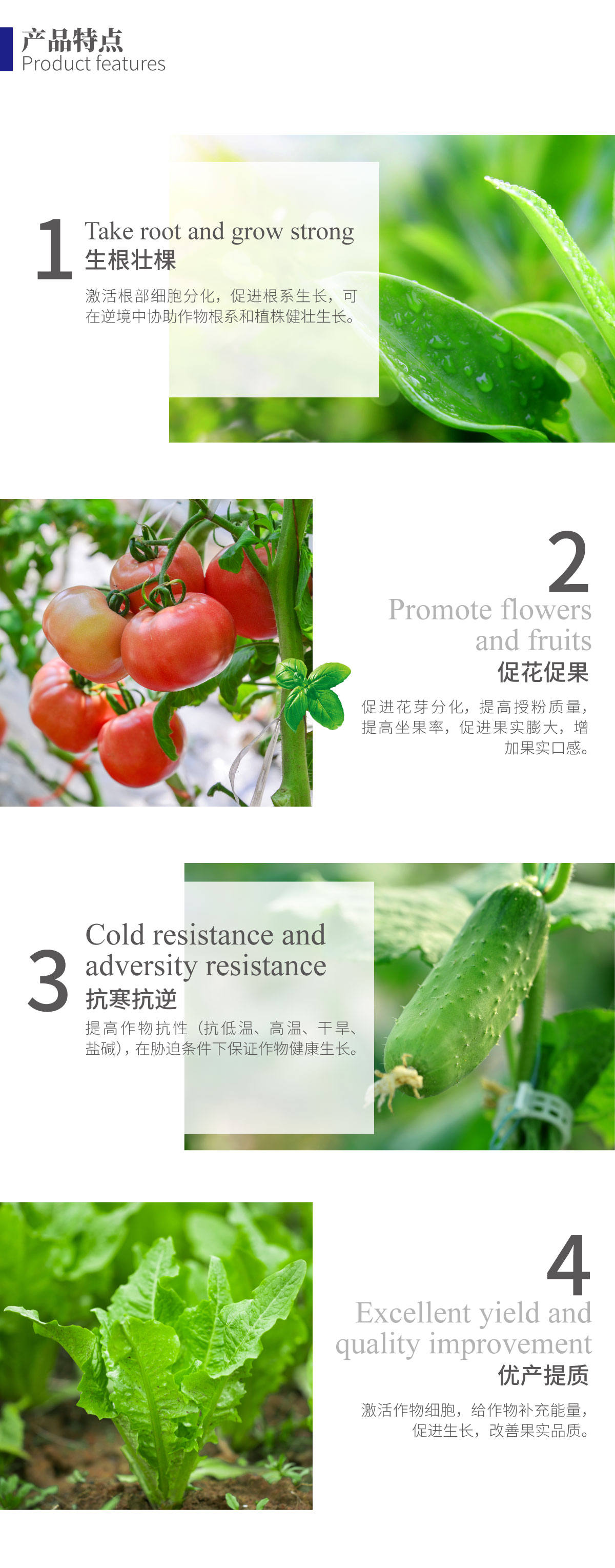 详情页-优•鲁丰®️鱼蛋白原浆_02.jpg