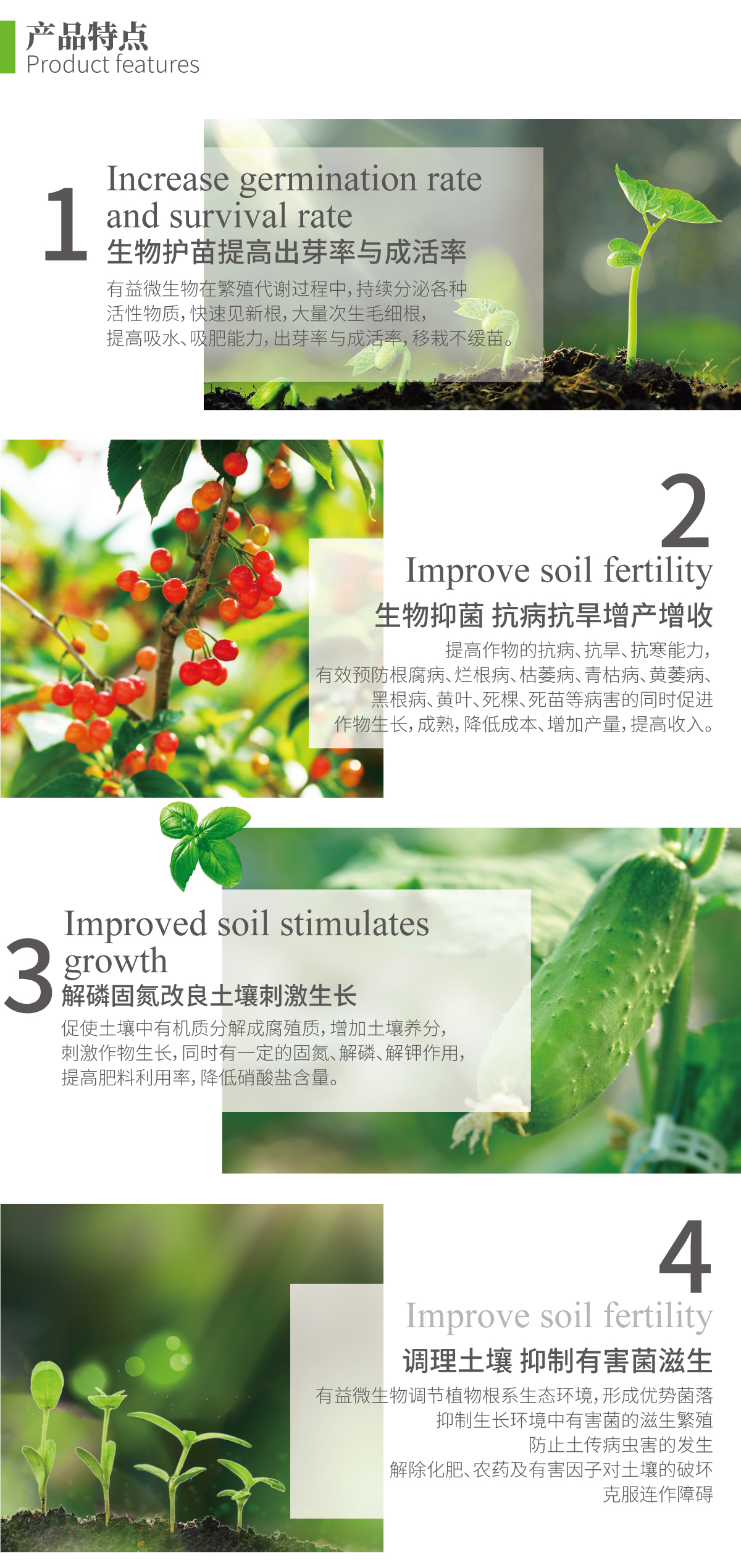 枯草芽孢杆菌- 山东鲁丰生物技术有限公司