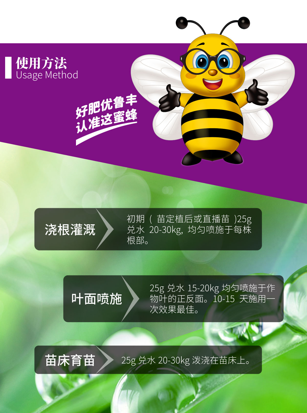 详情页-茄子黑又亮_03.jpg
