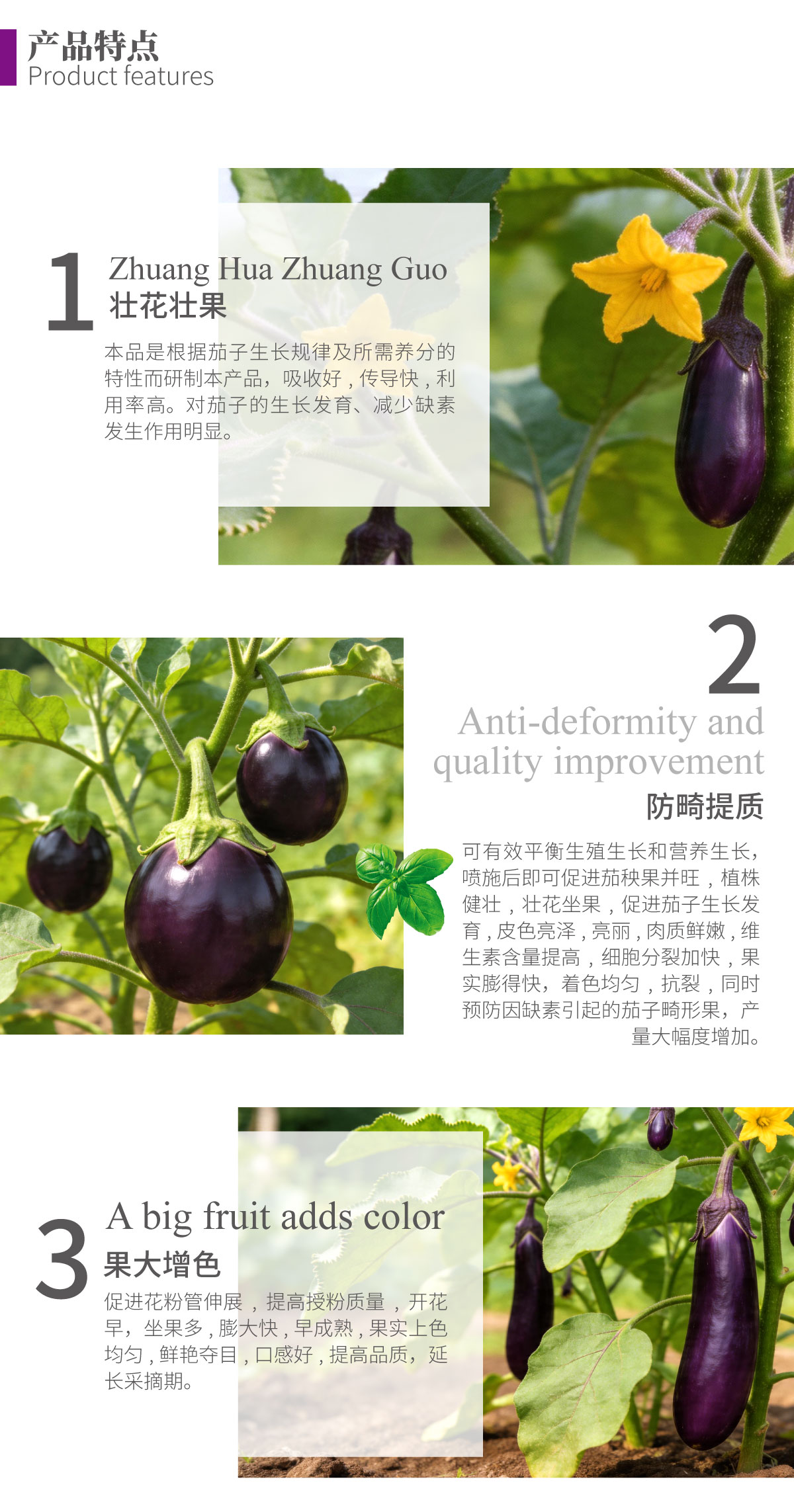 详情页-茄子黑又亮_02.jpg