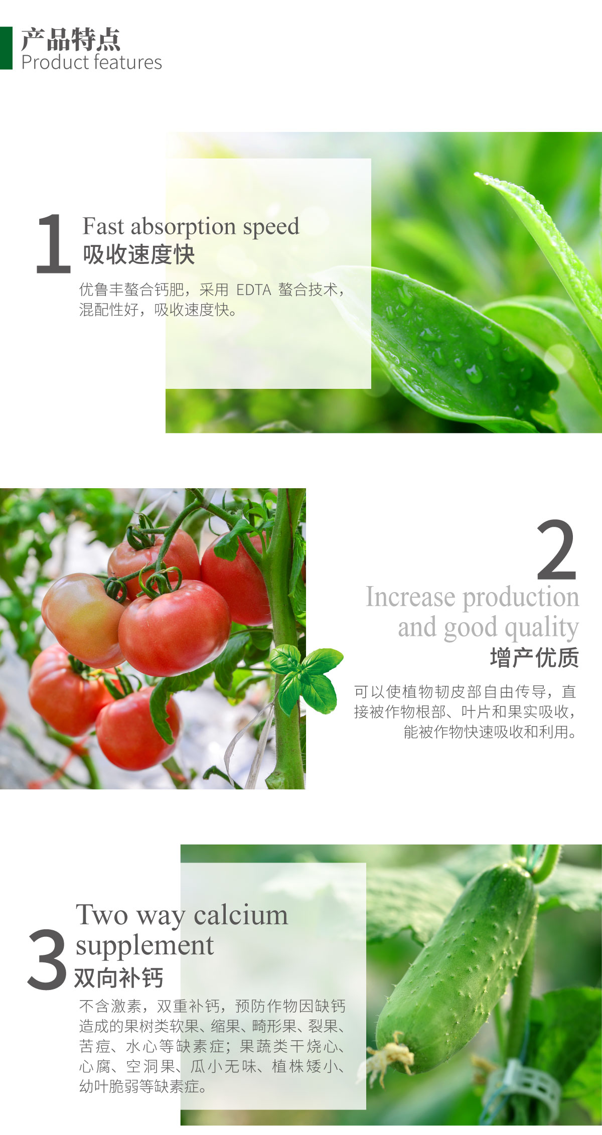 详情页-优•鲁丰®️EDTA螯合钙肥_02.jpg