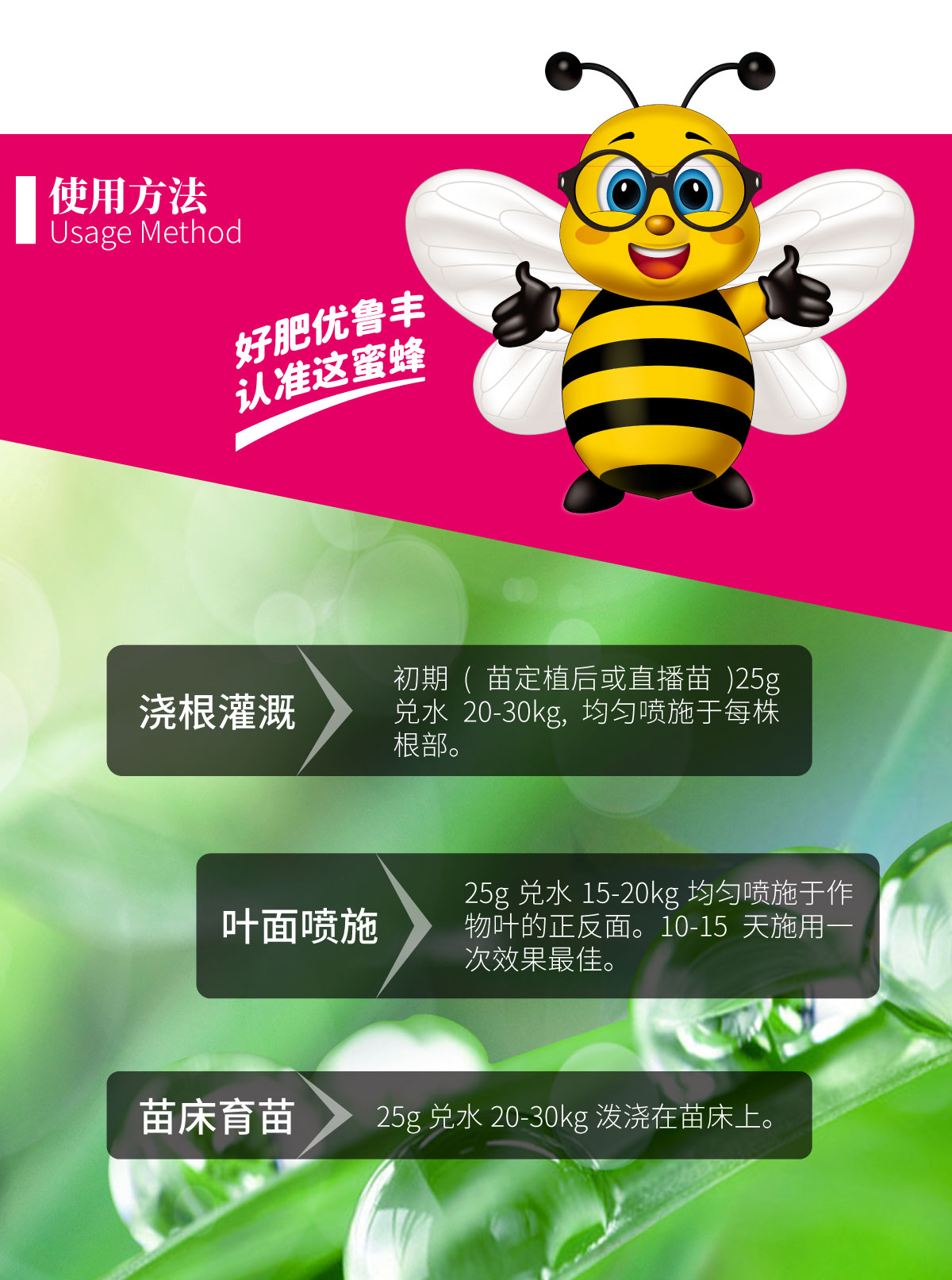 详情页-瓜大甜_03.jpg