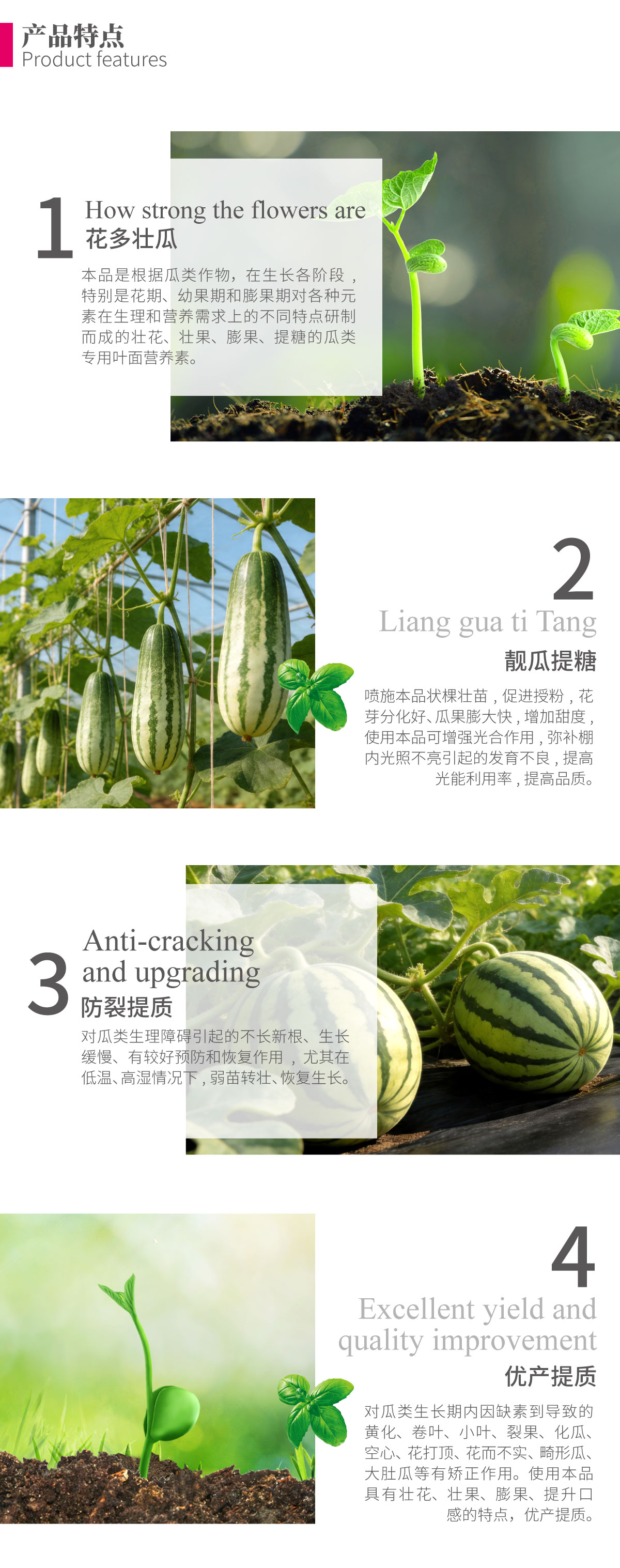 详情页-瓜大甜_02.jpg